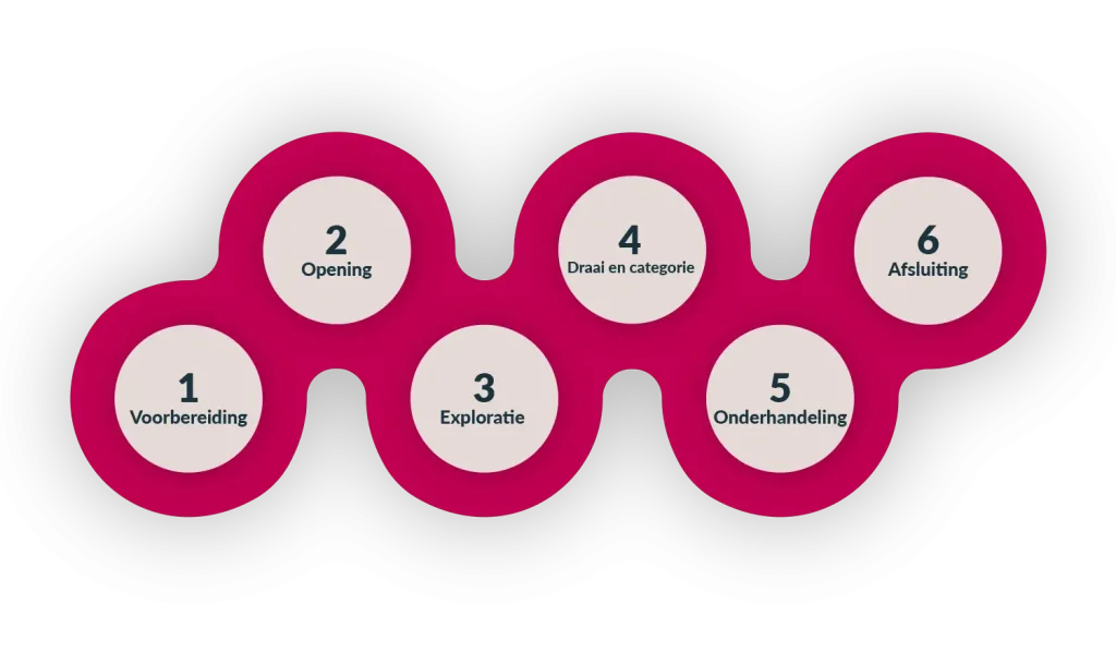 schema mediation proces